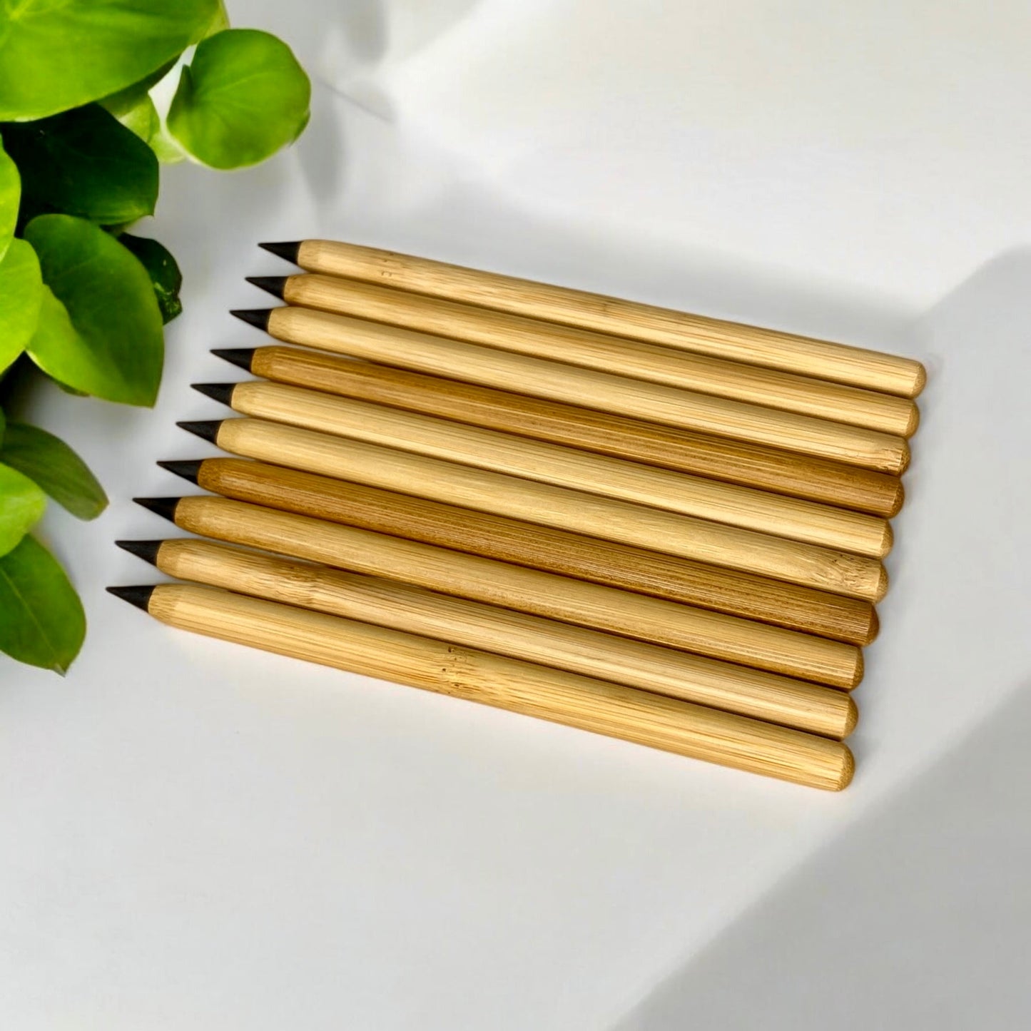 Bamboo Pencil | Never Ending