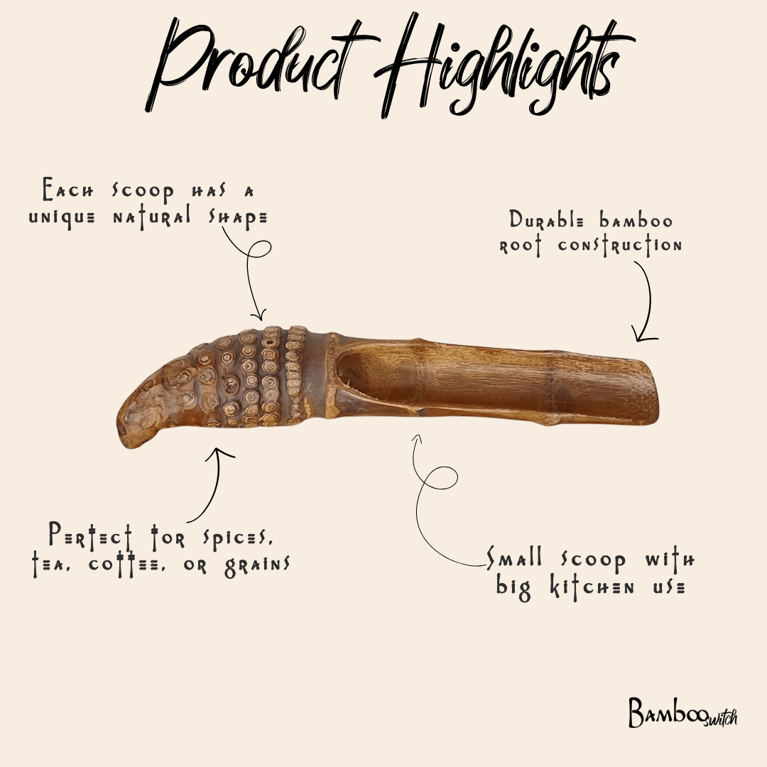 Bamboo Scoop | Cone Root Handle - Chickadees Wooden Toys