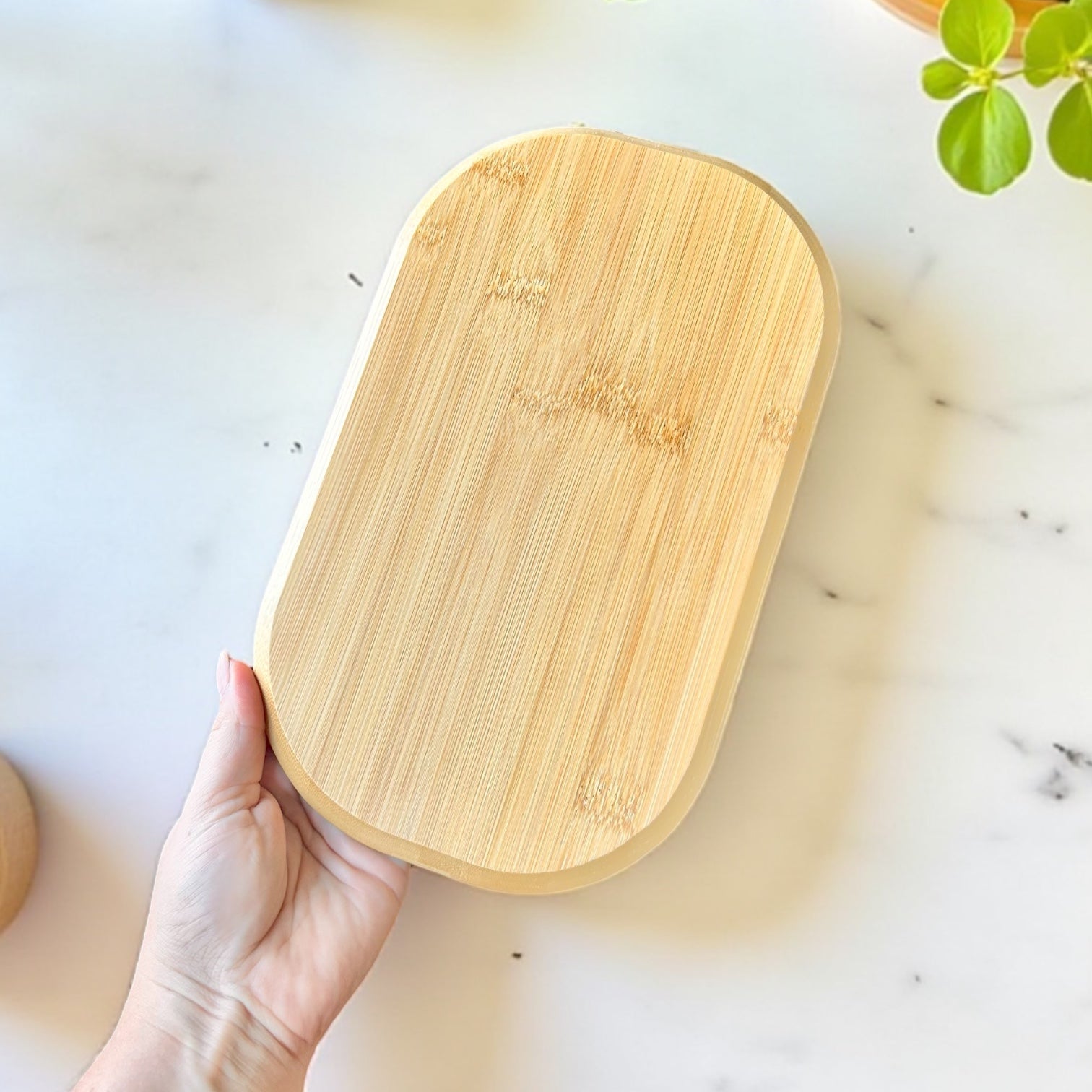 Bamboo Plate | Sectioned - Chickadees Wooden Toys