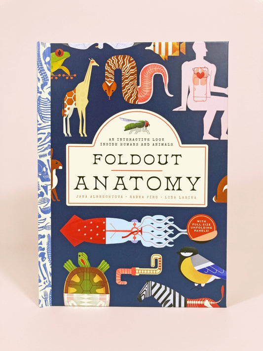 Foldout Anatomy