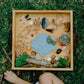 Pond Life Eco Cutters