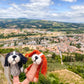 Cavalier King Charles Spaniel finger puppet - Orange