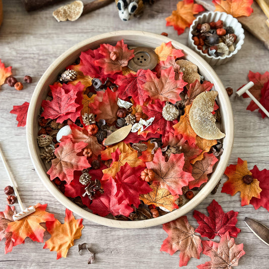 Autumn Leaves Play Tray Mix