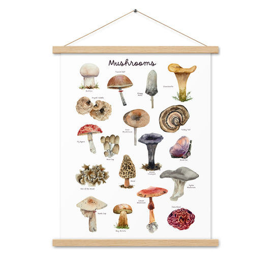 Mushrooms - Matte 18x24 Poster with Wooden Hanger - White - Chickadees Wooden Toys