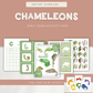 Chameleons - Preschool Activity Pages