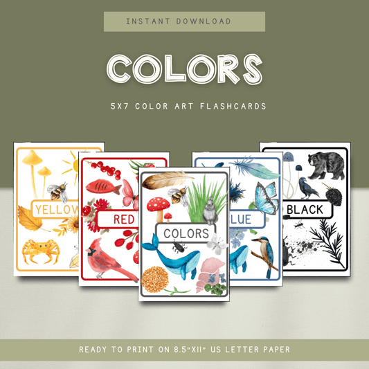 Color Flashcards - DIGITAL DOWNLOAD