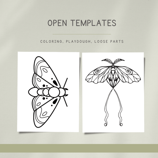 Moths Preschool Activity Pages - Chickadees Wooden Toys