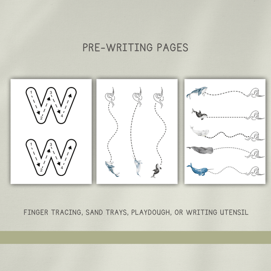 Whales Preschool Activity Pages - Chickadees Wooden Toys
