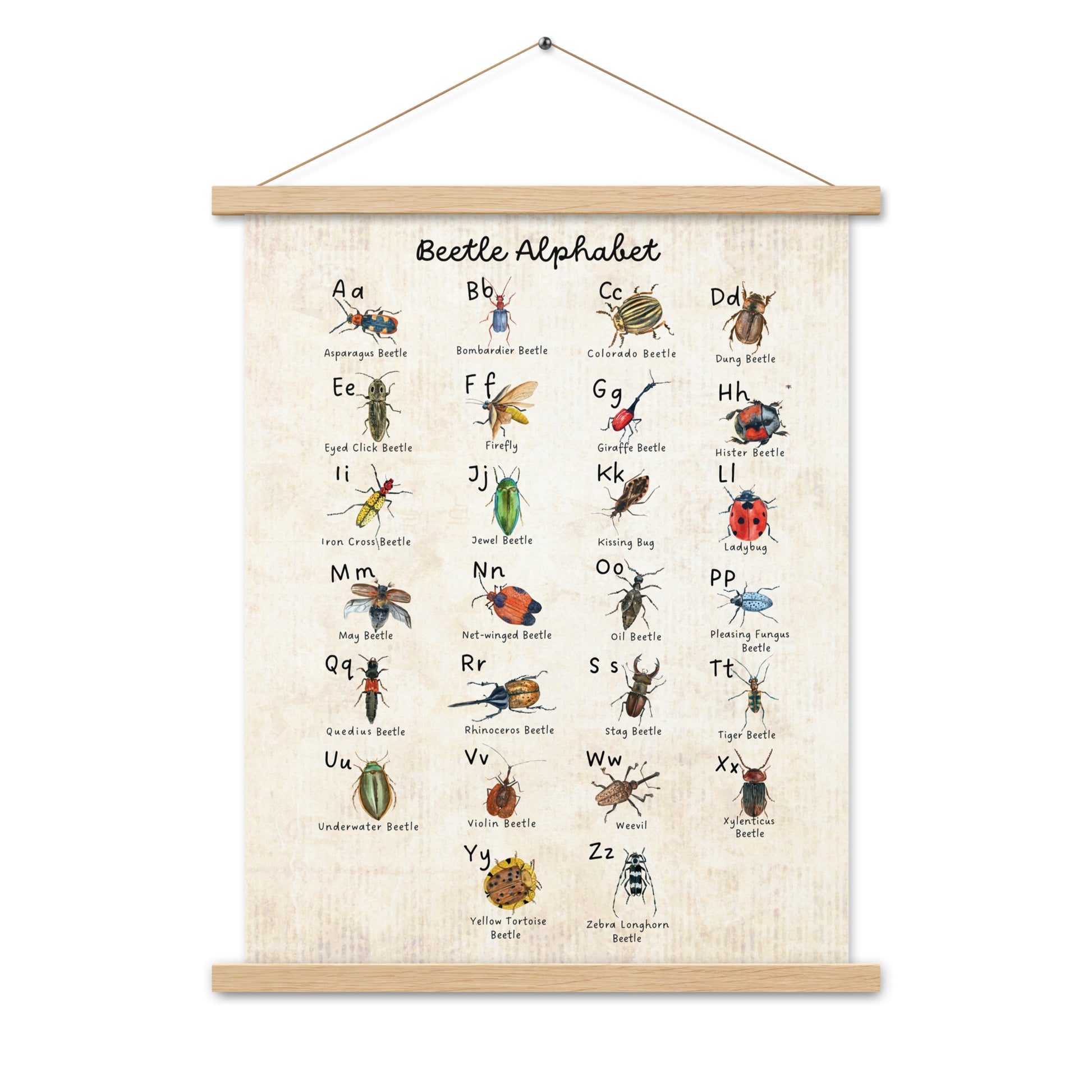 Beetle Alphabet - Matte 18x24 Poster with Wooden Hanger - Vintage Look - Chickadees Wooden Toys