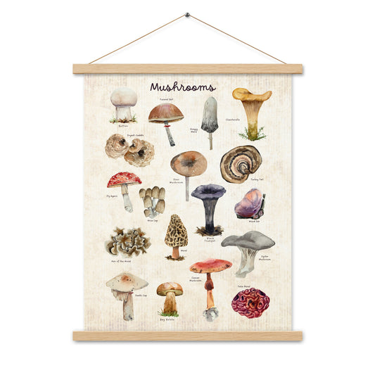 Mushrooms - Matte 18x24 Poster with Wooden Hanger - Vintage Look - Chickadees Wooden Toys