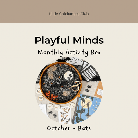 Playful Minds Activity Box