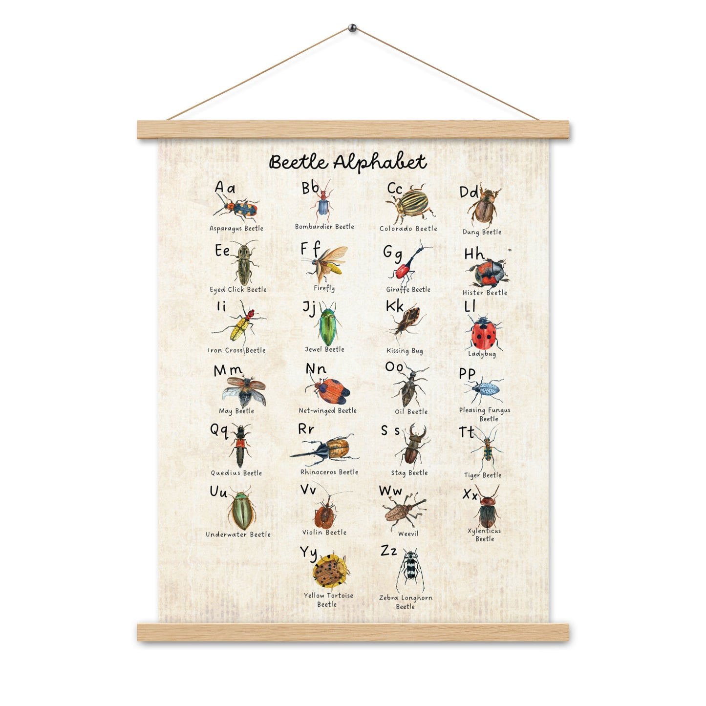 Beetle Alphabet - Matte 18x24 Poster with Wooden Hanger - Vintage Look