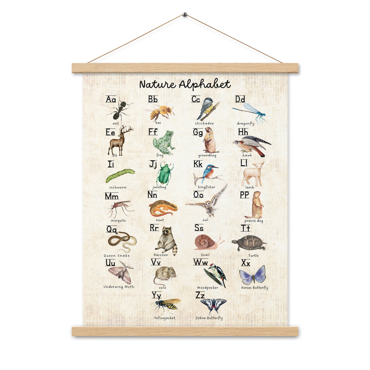 Nature Alphabet 1 - Matte 18x24 Poster with Wooden Hanger - Vintage Look