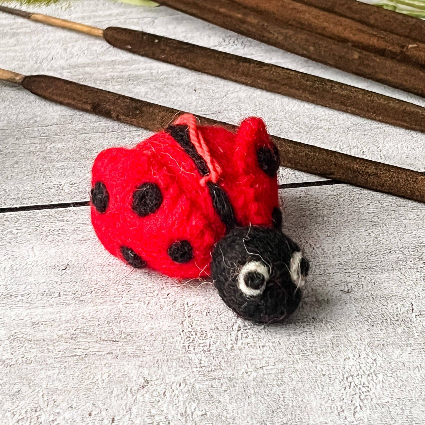 Big Lottie Ladybug