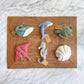 Felt Ornament - Sea Animals Theme / Sea Turtle