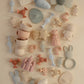 Silicone Suction Builders - Chickadees Wooden Toys