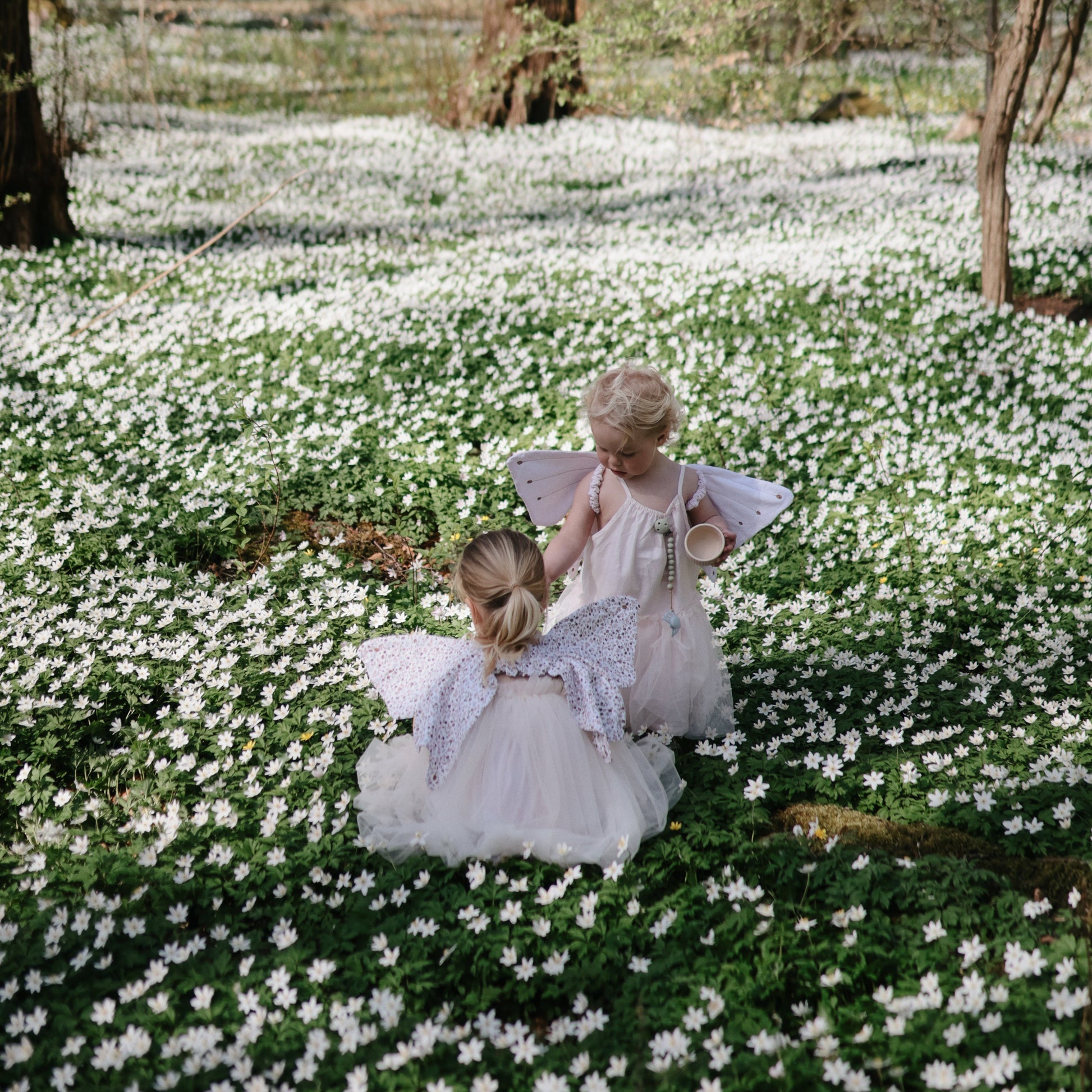 Silicone Baby Food Containers - Chickadees Wooden Toys
