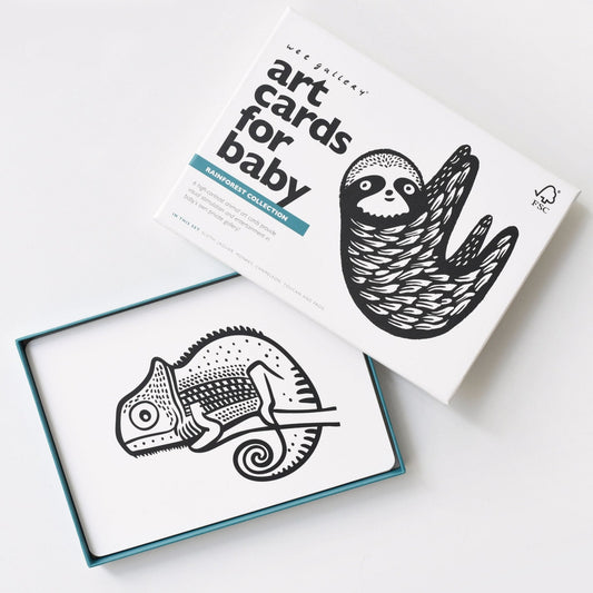 Art Cards for Baby - Rainforest Collection - Chickadees Wooden Toys