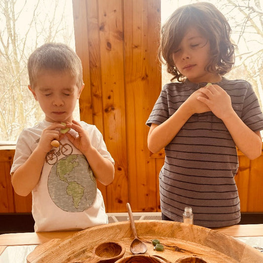 Enchanted Flowers Potion Kit - Chickadees Wooden Toys