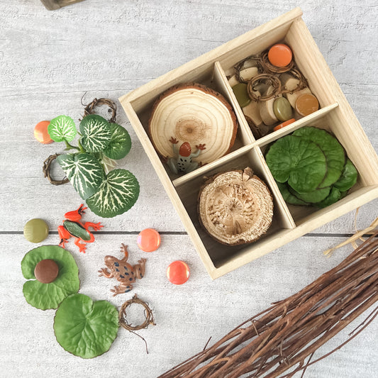 Rainforest Discovery Box