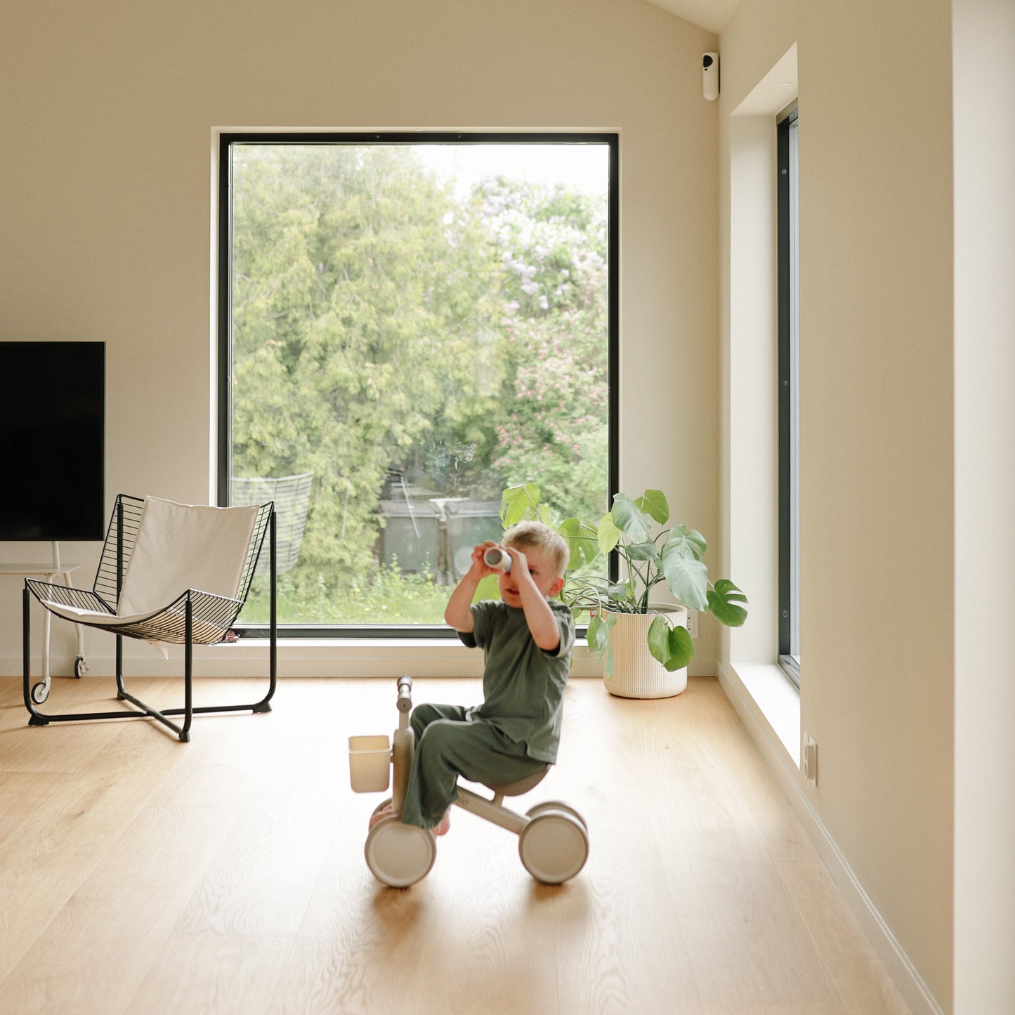 Mini Toddler Bike