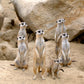 Meerkat Finger Puppet