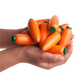 Educational Carrots Counters Play set of 12 in linen bag