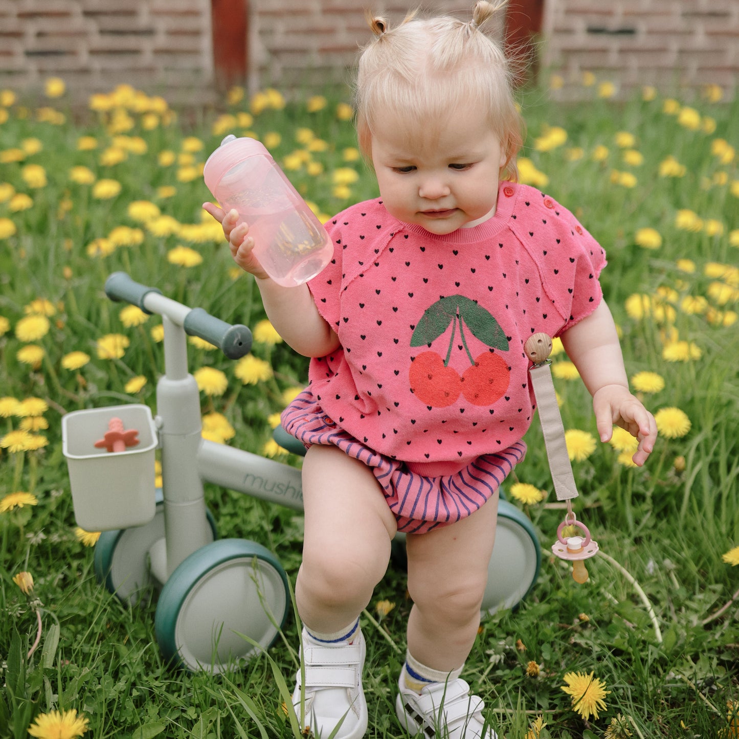 Mini Toddler Bike