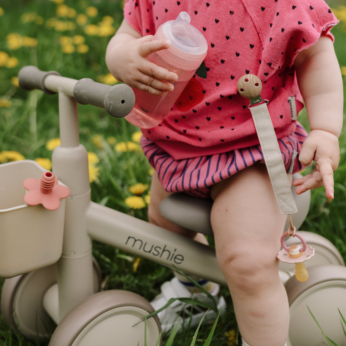 Mini Toddler Bike