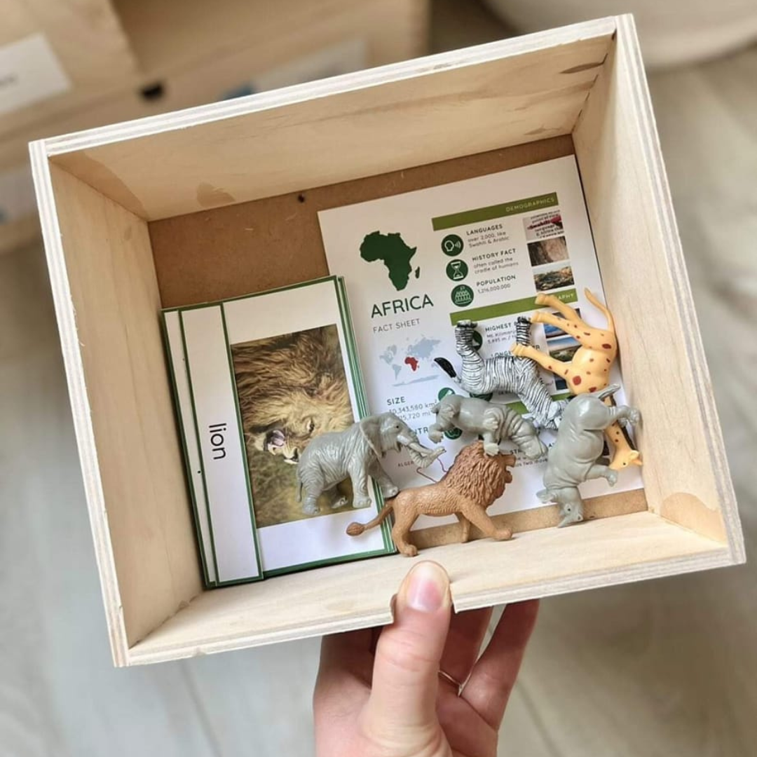 Montessori Homeschooling Geography Curriculum