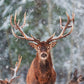 Red Reindeer Finger Puppet