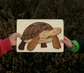 Turtle / Tortoise Wooden Puzzle in Natural Wood