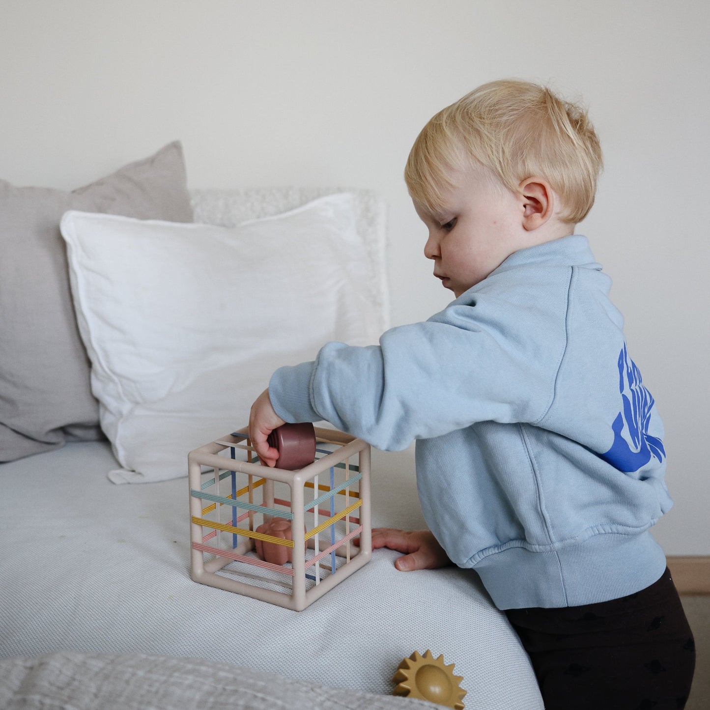 Elastic Shape Sorter