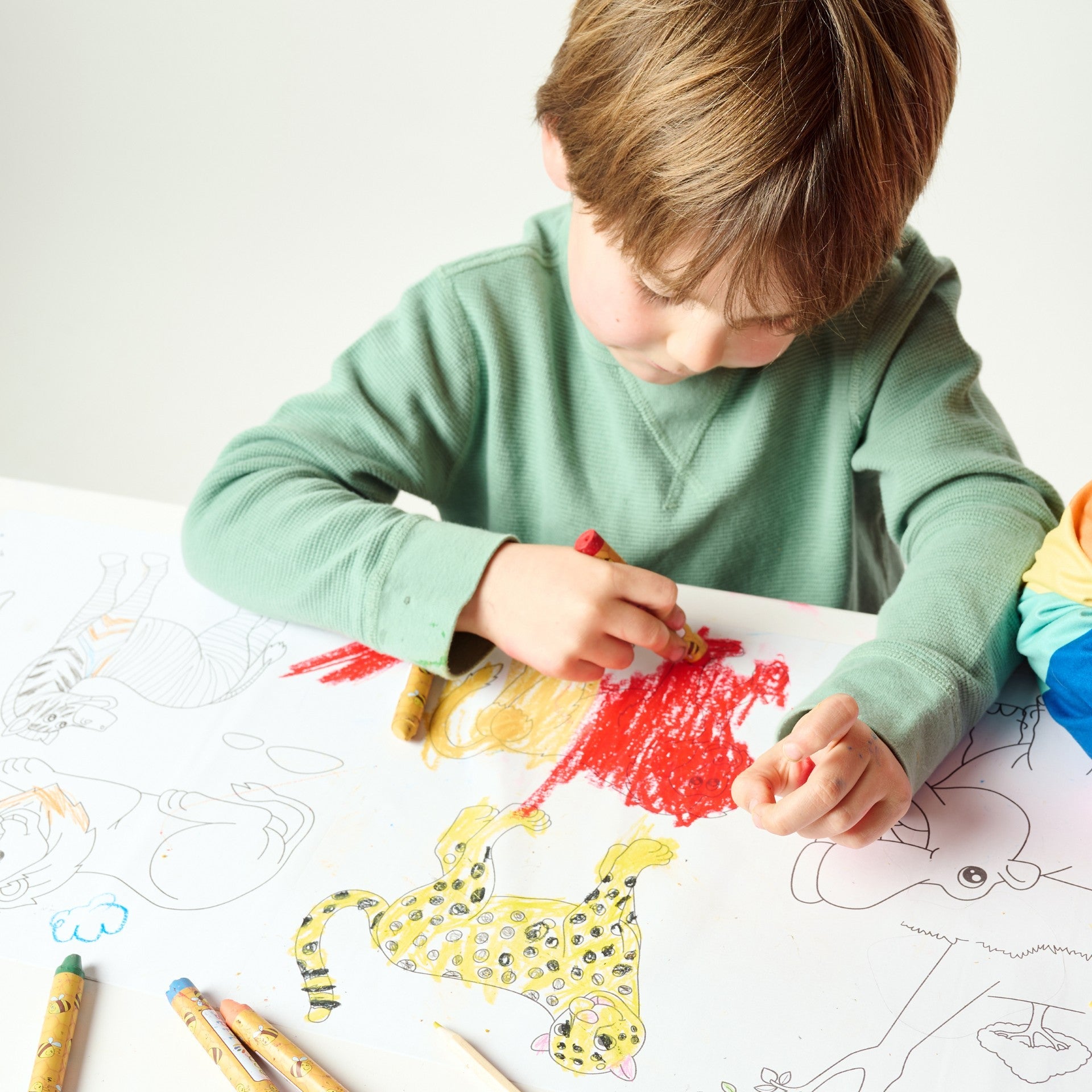 Coloring Scrolls – 10 ft – Adhesive Back - Chickadees Wooden Toys