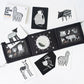 Baby Tummy Time Gallery with Mirror Bundle - Chickadees Wooden Toys