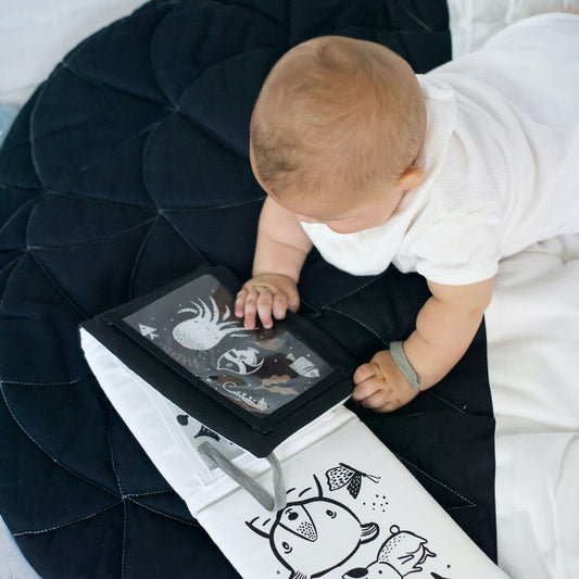 Baby Tummy Time Gallery with Mirror Gift Set - Chickadees Wooden Toys
