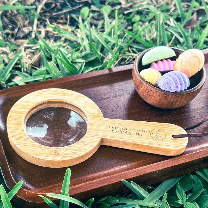 Wood Magnifying Glass - Chickadees Wooden Toys