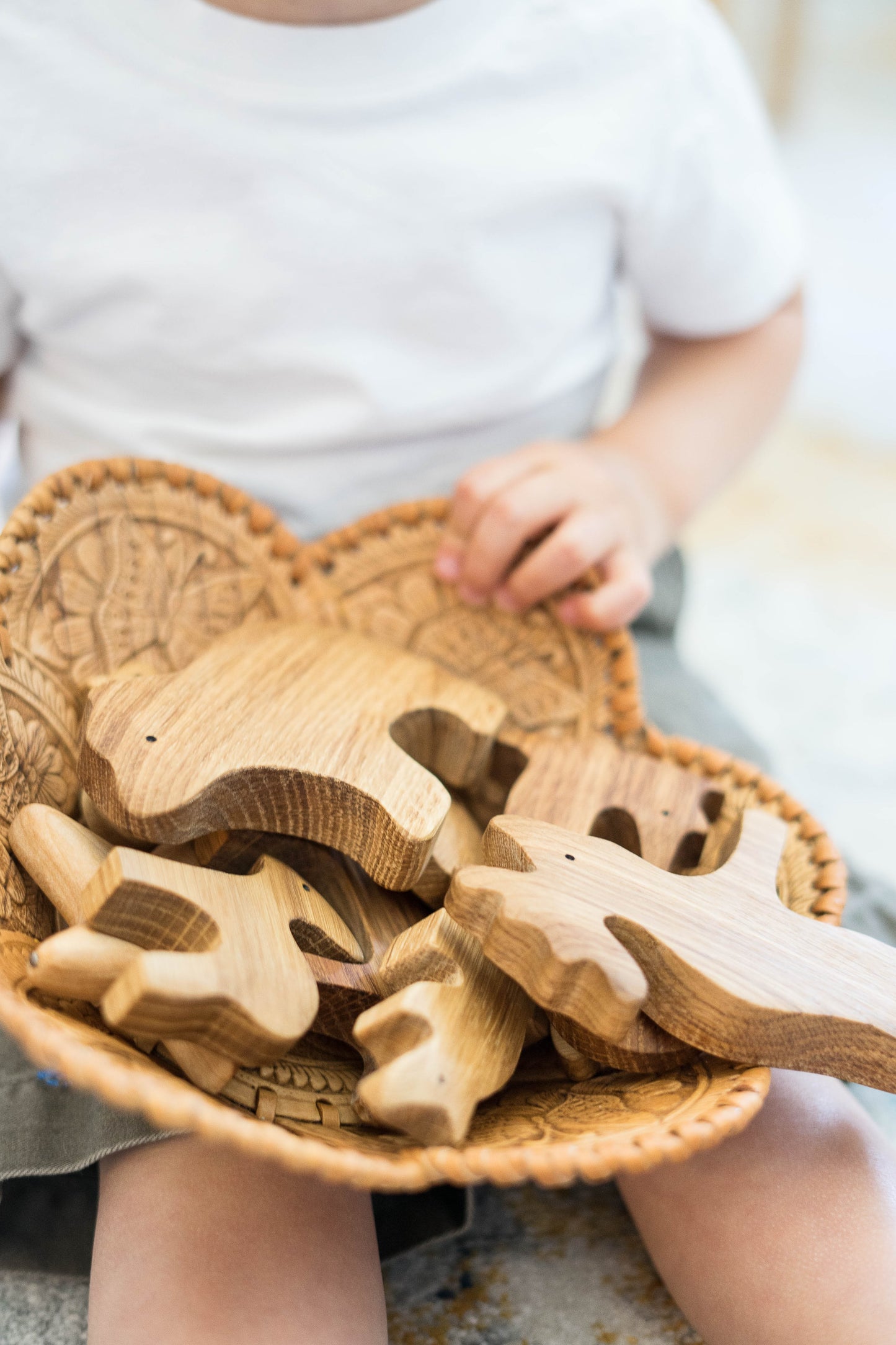 Natural Wooden Forest Animals set of 9