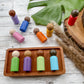 10 Diverse Rainbow Pegs - Chickadees Wooden Toys