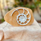 Large Ammonite Fossil in Rock - Chickadees Wooden Toys