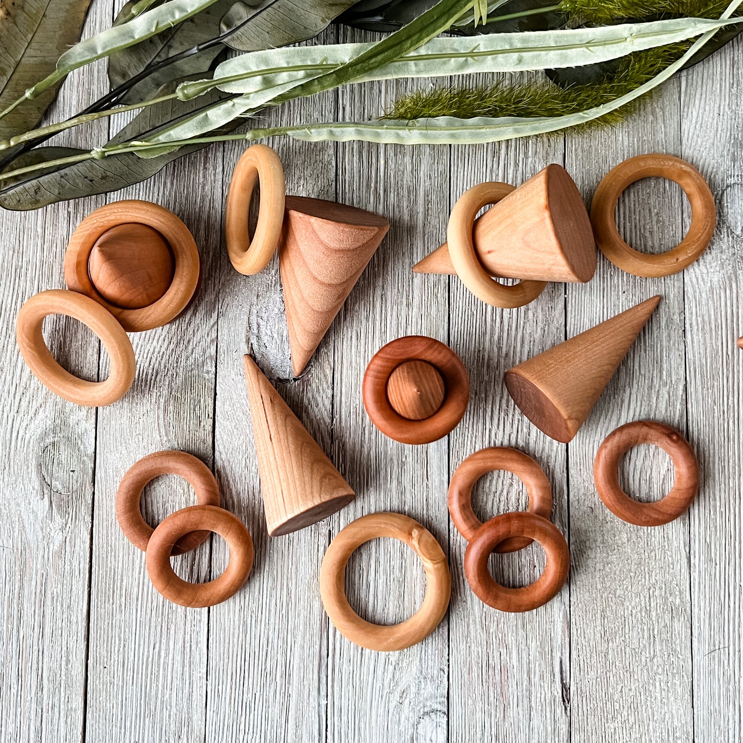 Cones & Rings || Natural Wooden Loose Parts - Chickadees Wooden Toys