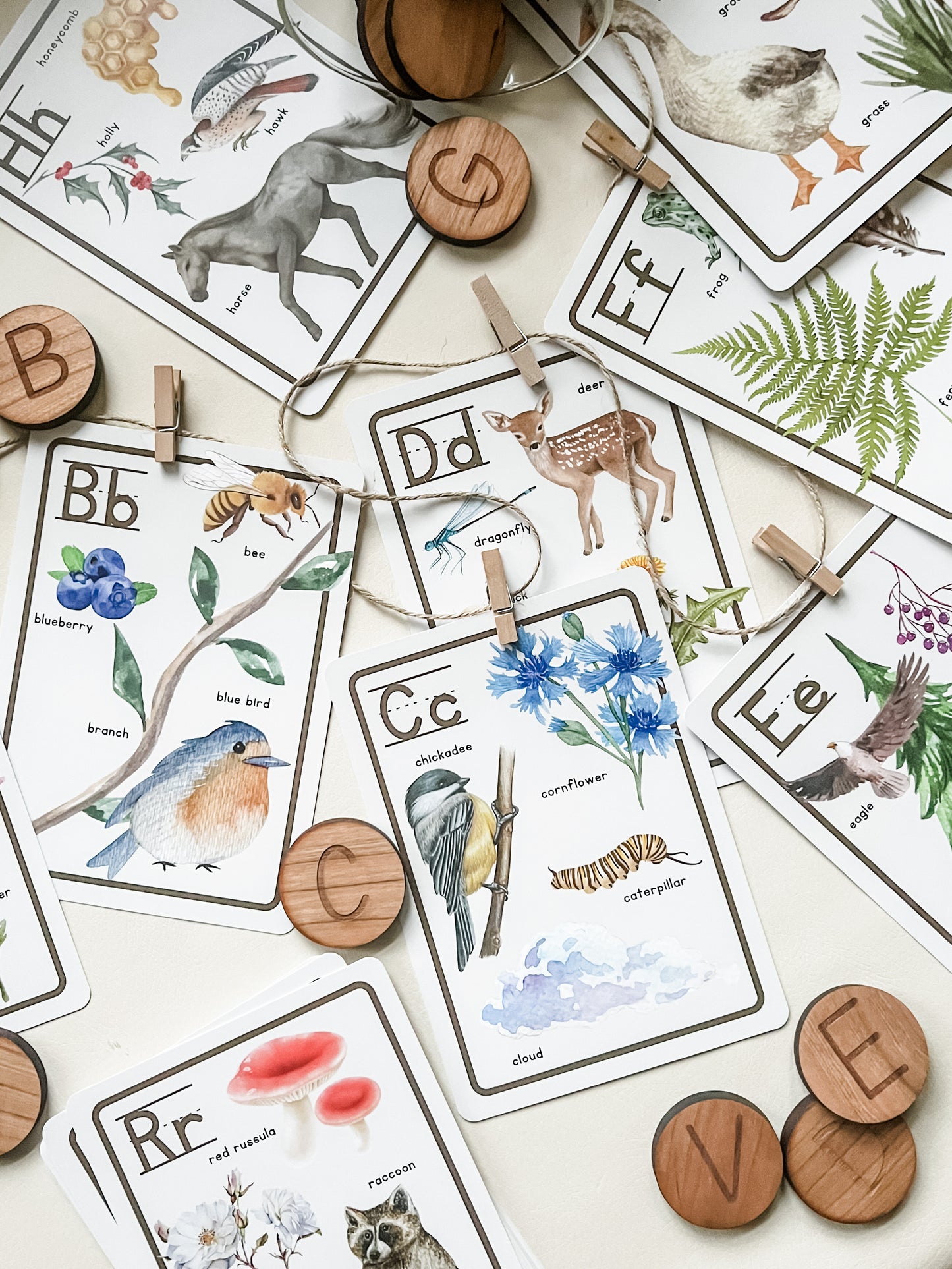 Nature Alphabet Flashcards - Chickadees Wooden Toys