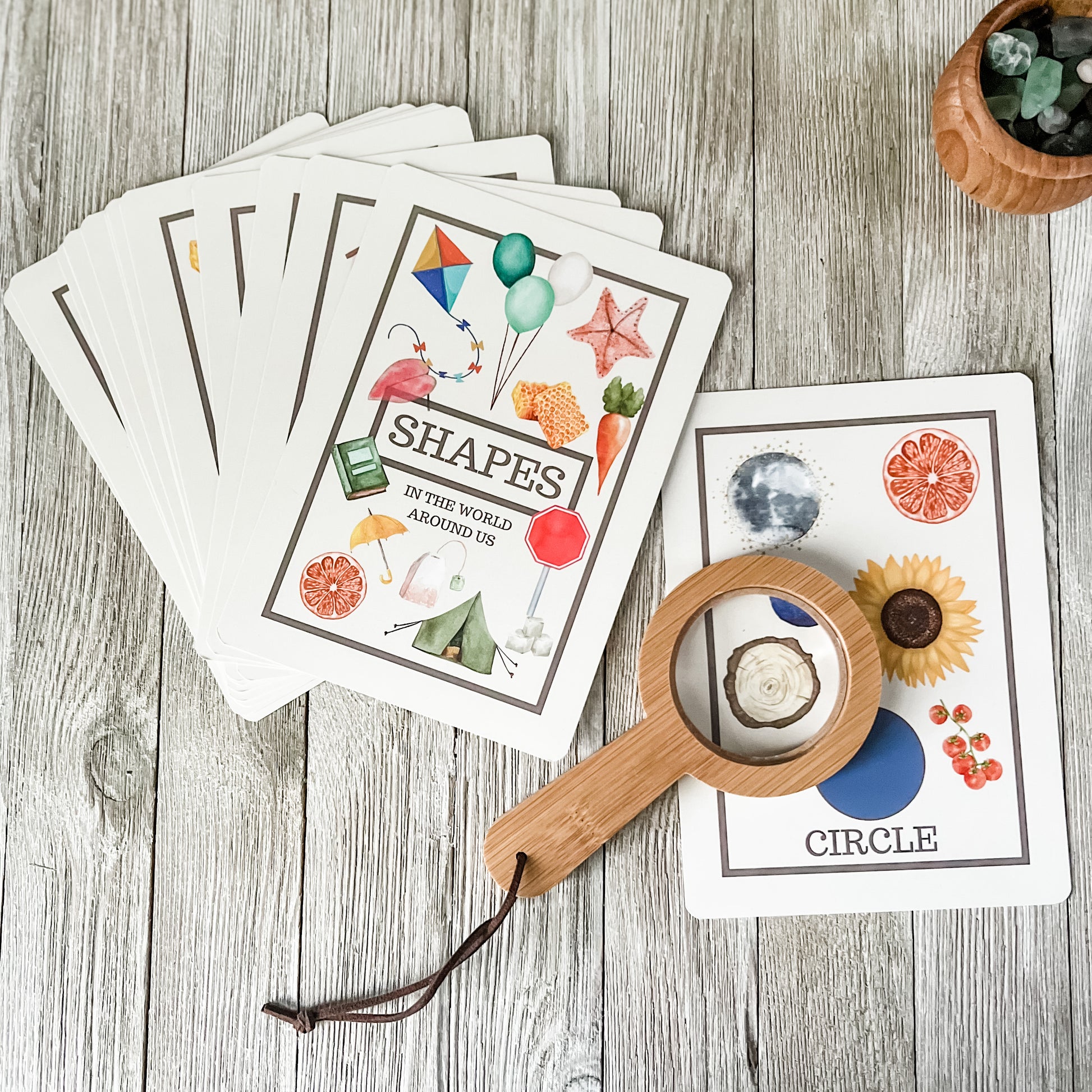 Shapes in the World Around Us Flashcards - Chickadees Wooden Toys
