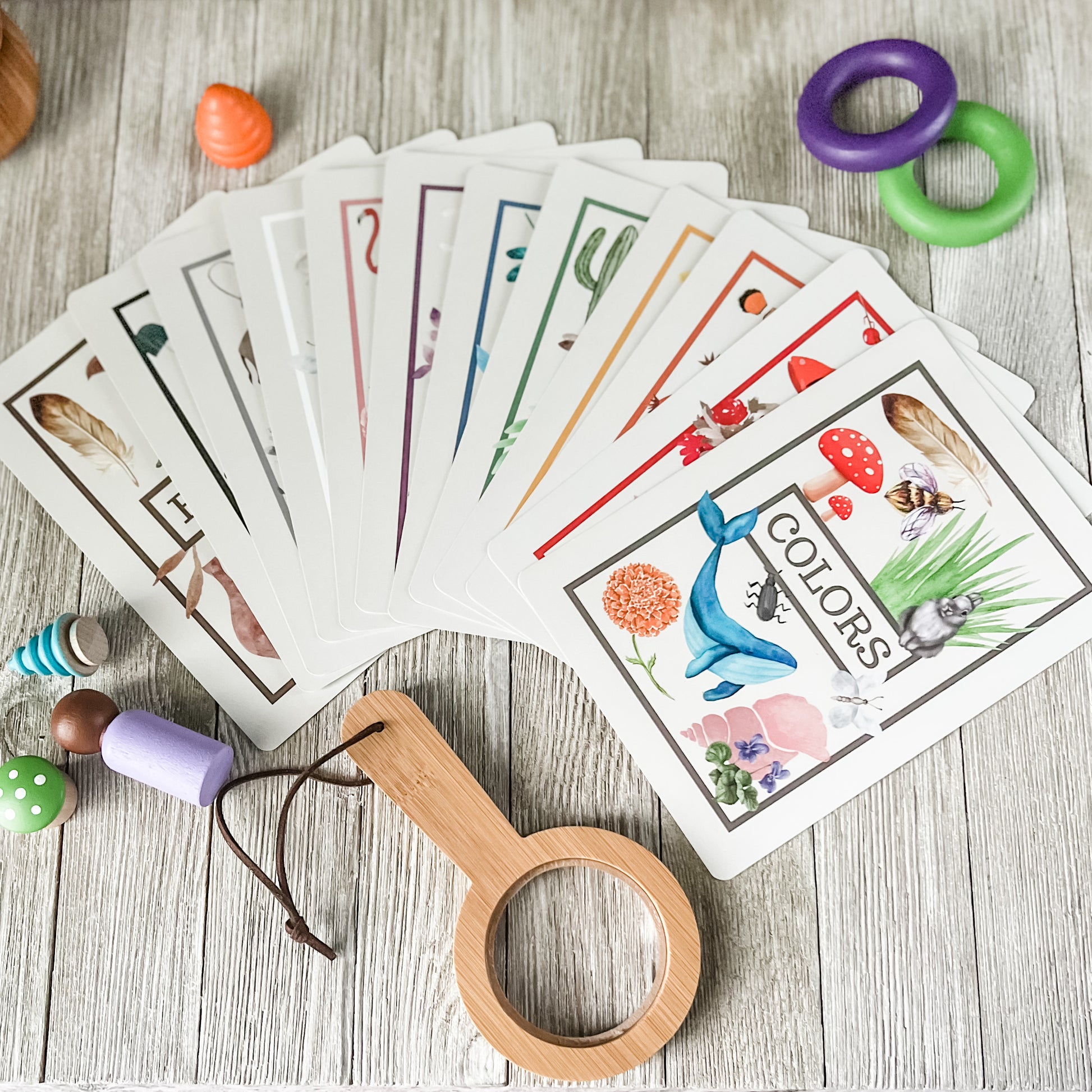 Color Flashcards - Chickadees Wooden Toys