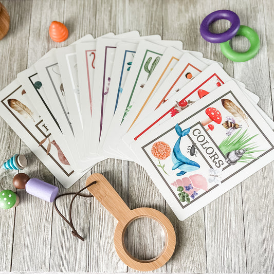 Color Flashcards - Chickadees Wooden Toys